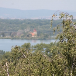 Pohled na Mušovský Kostelík